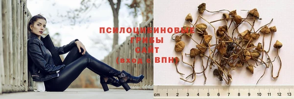 ПСИЛОЦИБИНОВЫЕ ГРИБЫ Алзамай